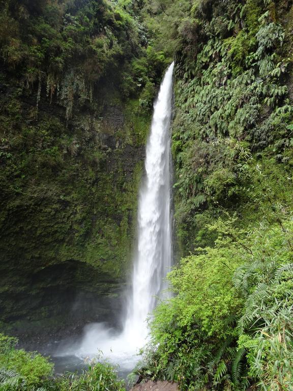 Apart & Tour Puerto Varas Exteriér fotografie